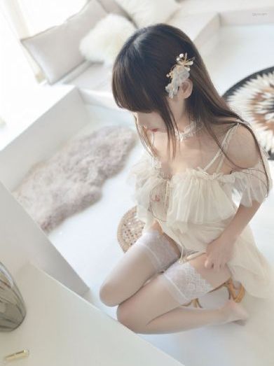 美女高清在线观看免费播放